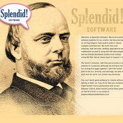 Splendid! Software Website Design